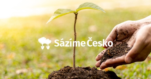 Sázíme Česko se Simply Kids